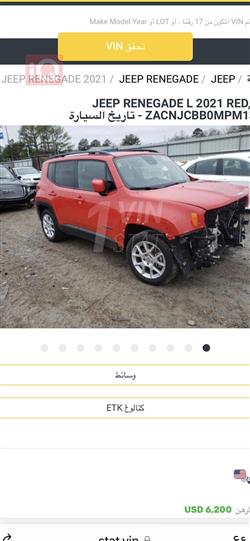 جيب رينيجيد